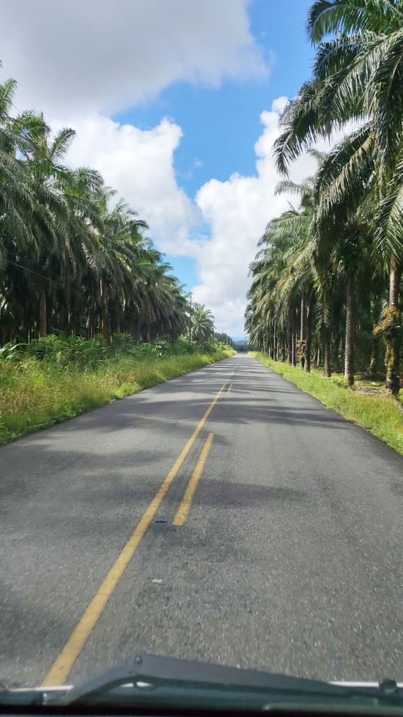 Private Transfer Service – San José ⇄ M Antonio