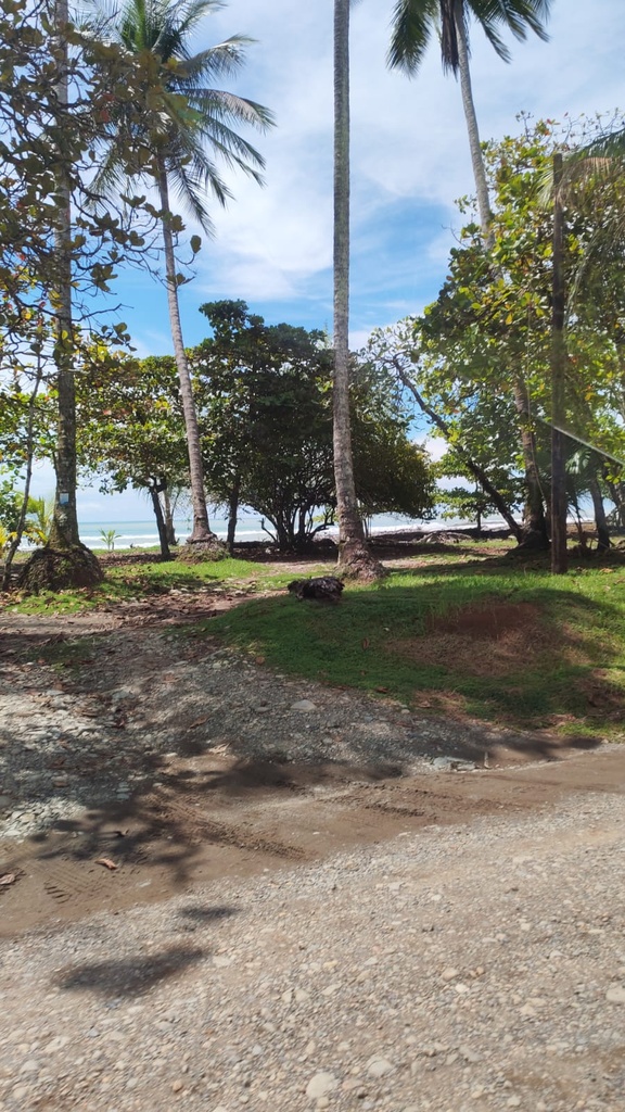 Private Transfer Service – San José ⇄ M Antonio