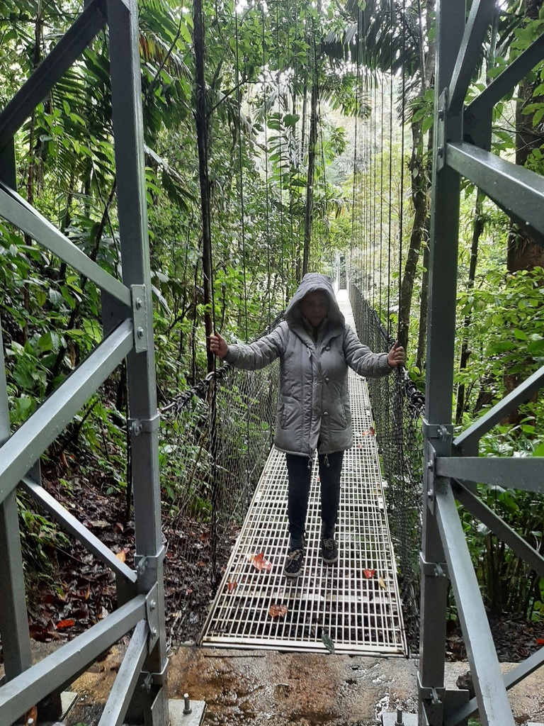 Private Transfer Service – San José ⇄ Monte Verde