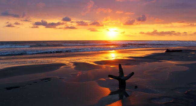 Private Transfer Service – San José ⇄ Nosara