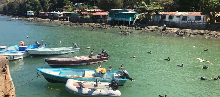 Private Transfer Service – San José ⇄ Montezuma 