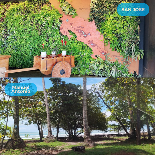 Private Transfer Service – San José ⇄ M Antonio || The base rate applies for 1–5 passengers