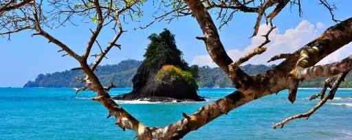Private Transfer Service – San José ⇄ Tamarindo (GTE) || The base rate applies for 1–5 passengers